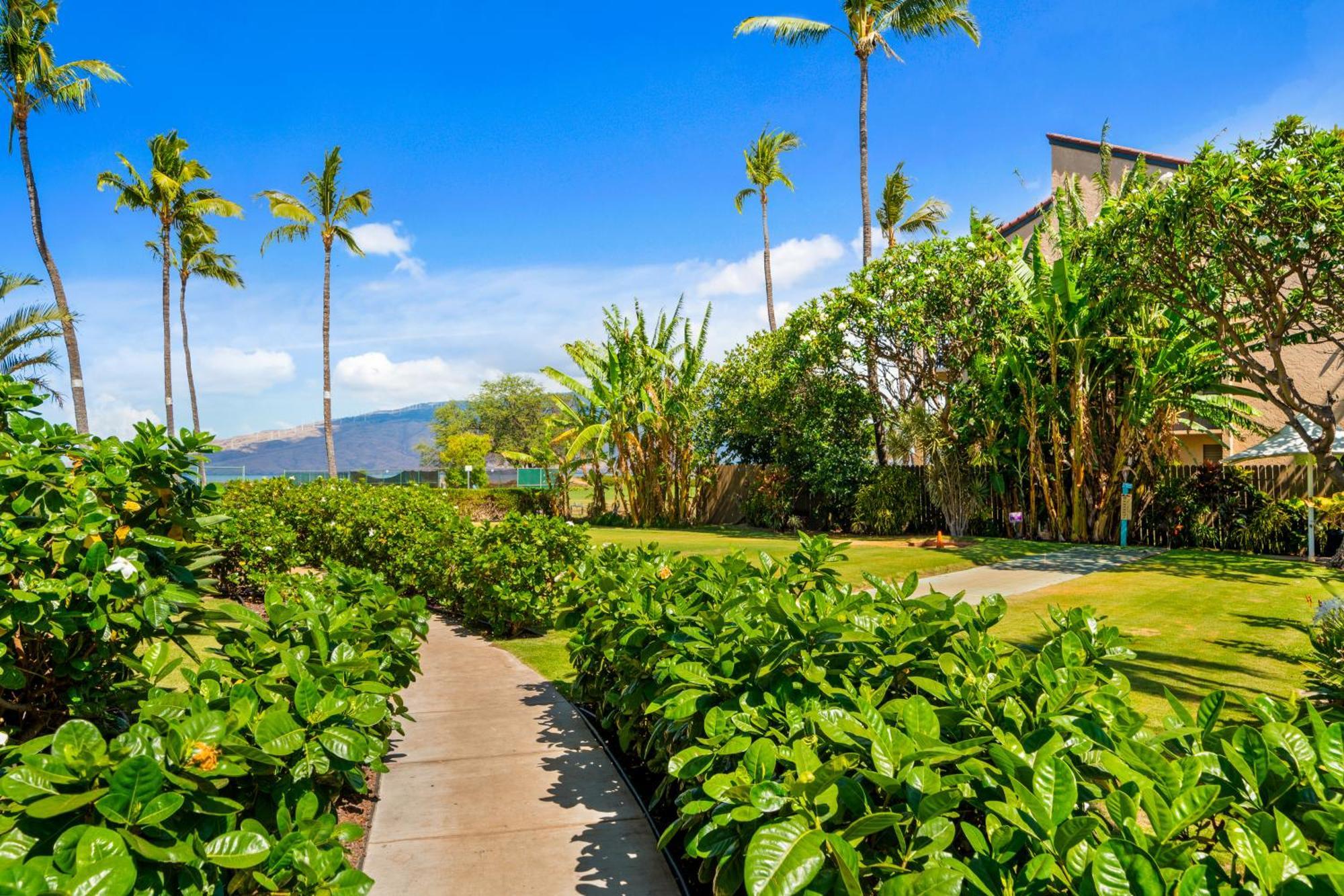 Maui Schooner Resort Кихей Экстерьер фото